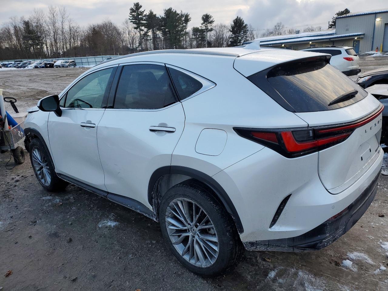 2023 LEXUS NX 350H photo 2