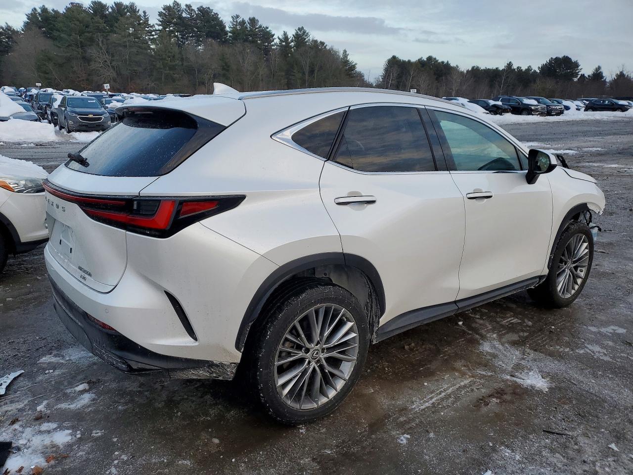 2023 LEXUS NX 350H photo 3