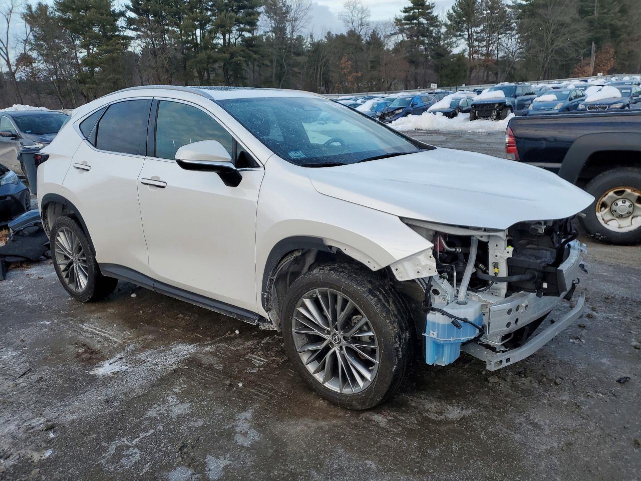 2023 LEXUS NX 350H photo 4