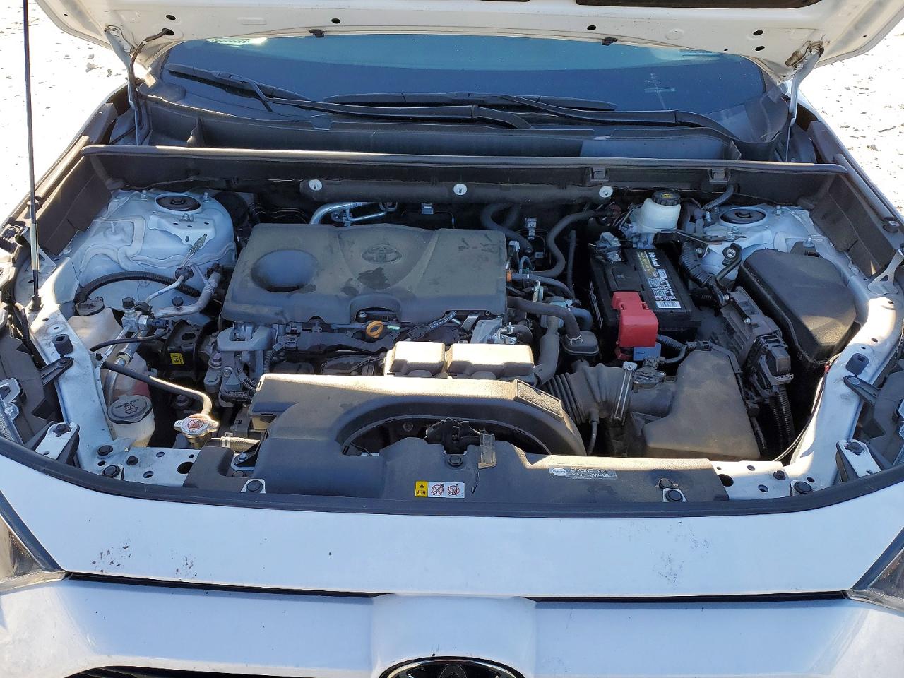 2021 TOYOTA RAV4 LE photo 12