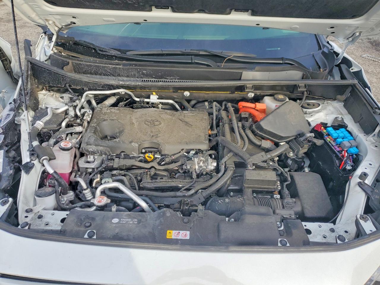 2024 TOYOTA RAV4 PRIME XSE photo 12