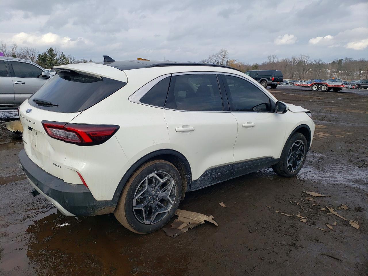 2025 FORD ESCAPE PLATINUM photo 5