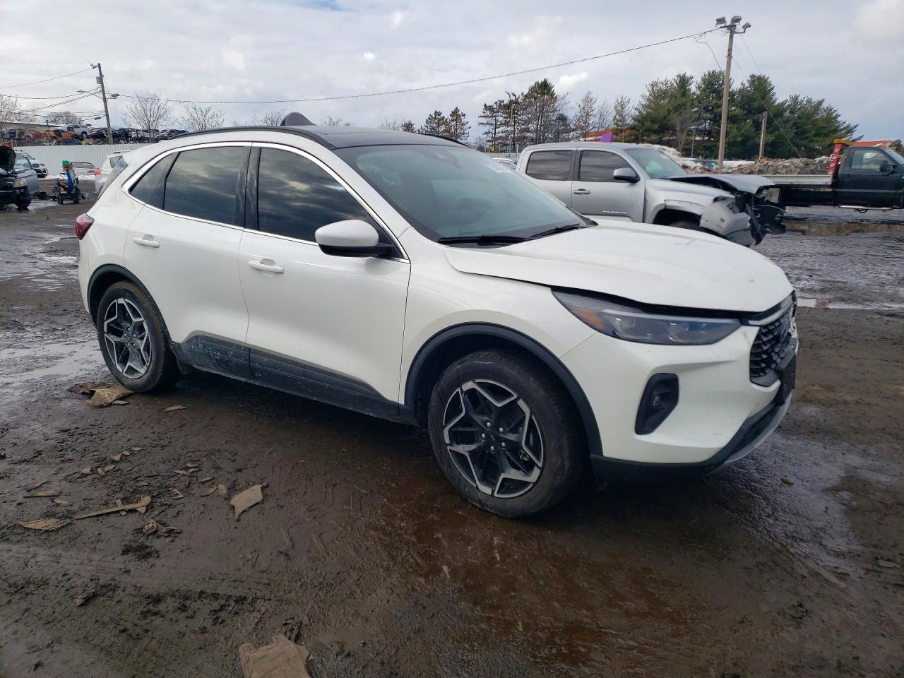 2025 FORD ESCAPE PLATINUM photo 7