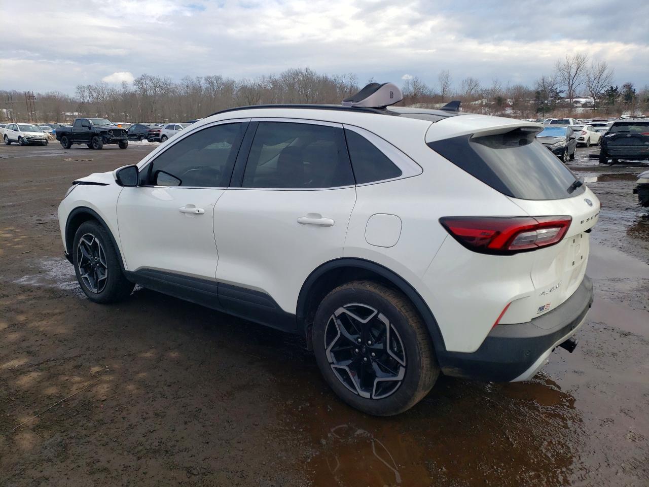2025 FORD ESCAPE PLATINUM photo 3