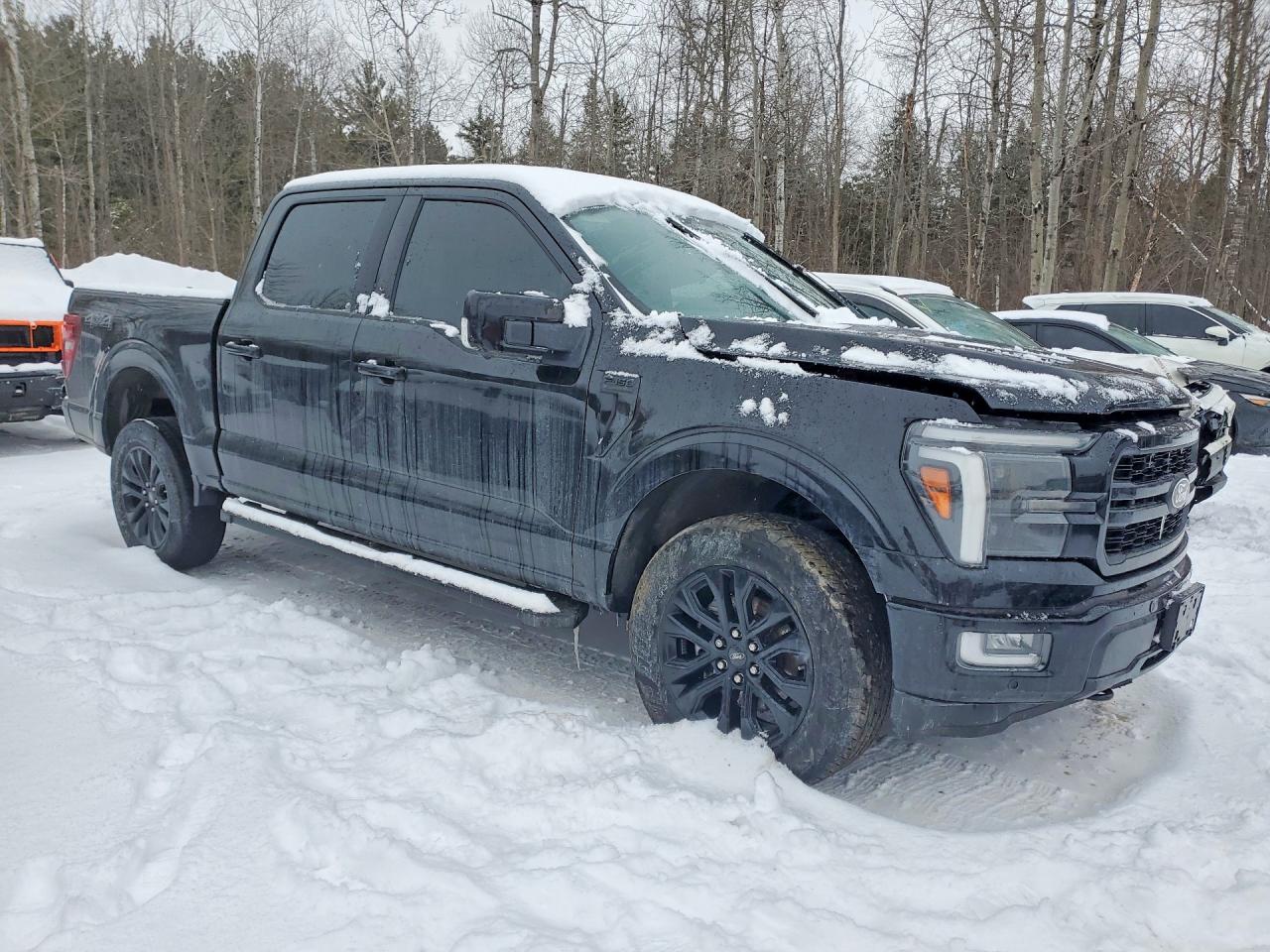 2024 FORD F150 LARIAT photo 10