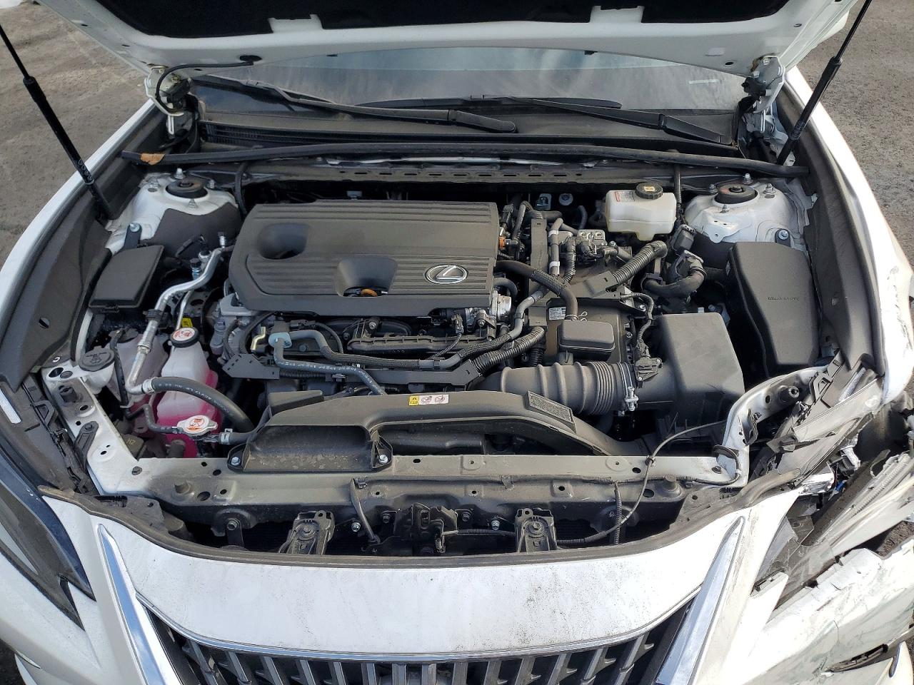 2025 LEXUS ES 300H BASE photo 11