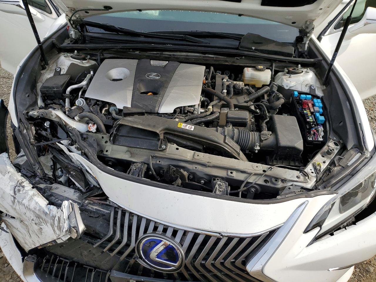 2021 LEXUS ES 300H BASE photo 11