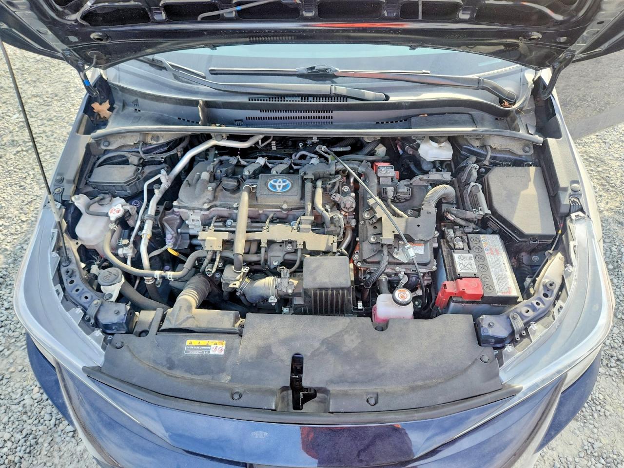 2023 TOYOTA COROLLA LE photo 11