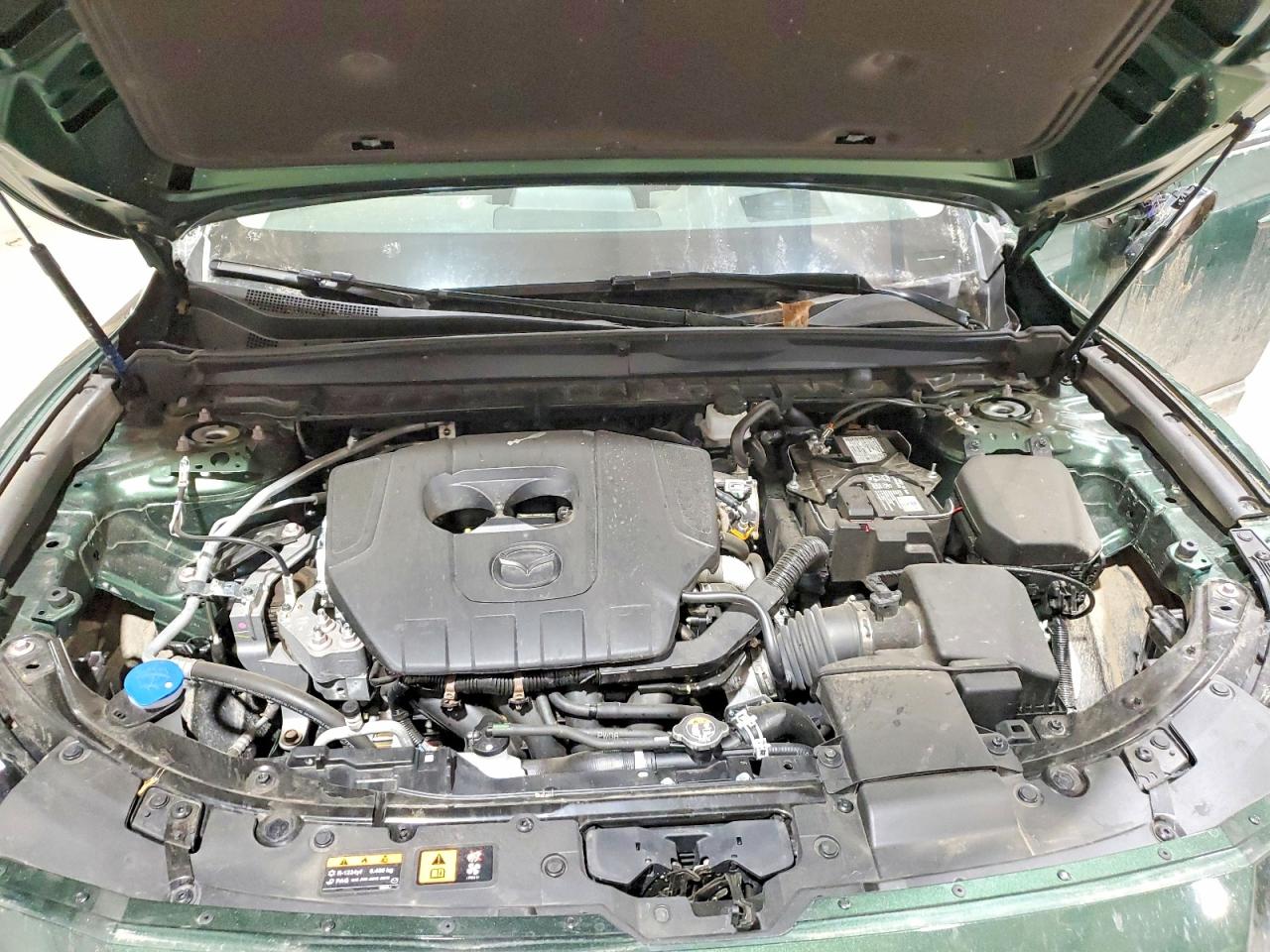 2025 MAZDA CX-50 PREMIUM PLUS photo 11