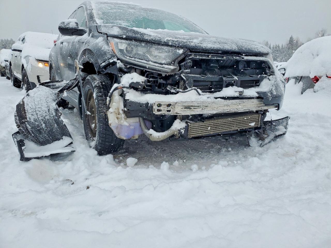 2017 HONDA CR-V LX photo 13