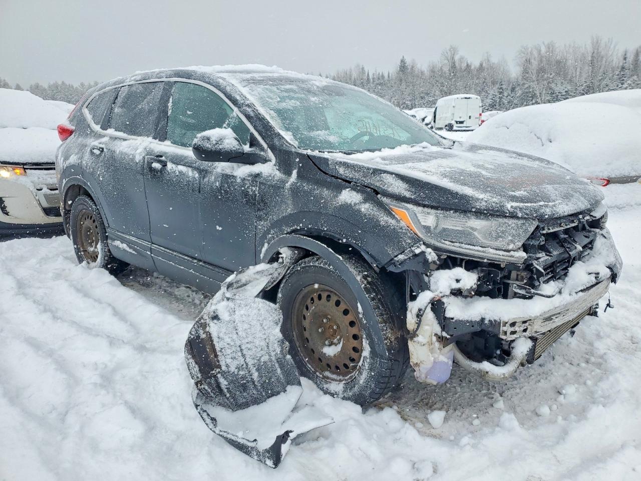 2017 HONDA CR-V LX photo 4