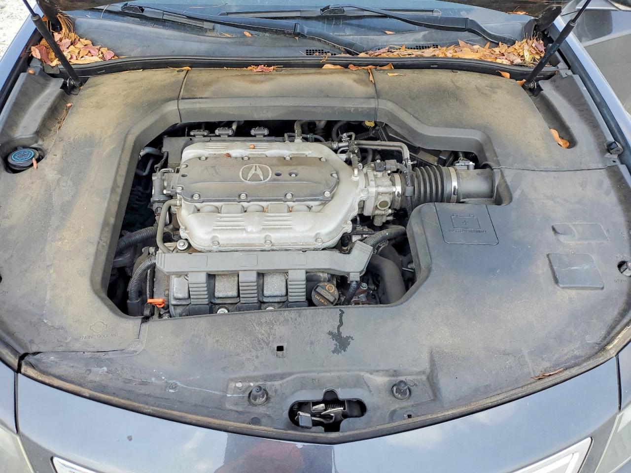 2013 ACURA TL photo 11