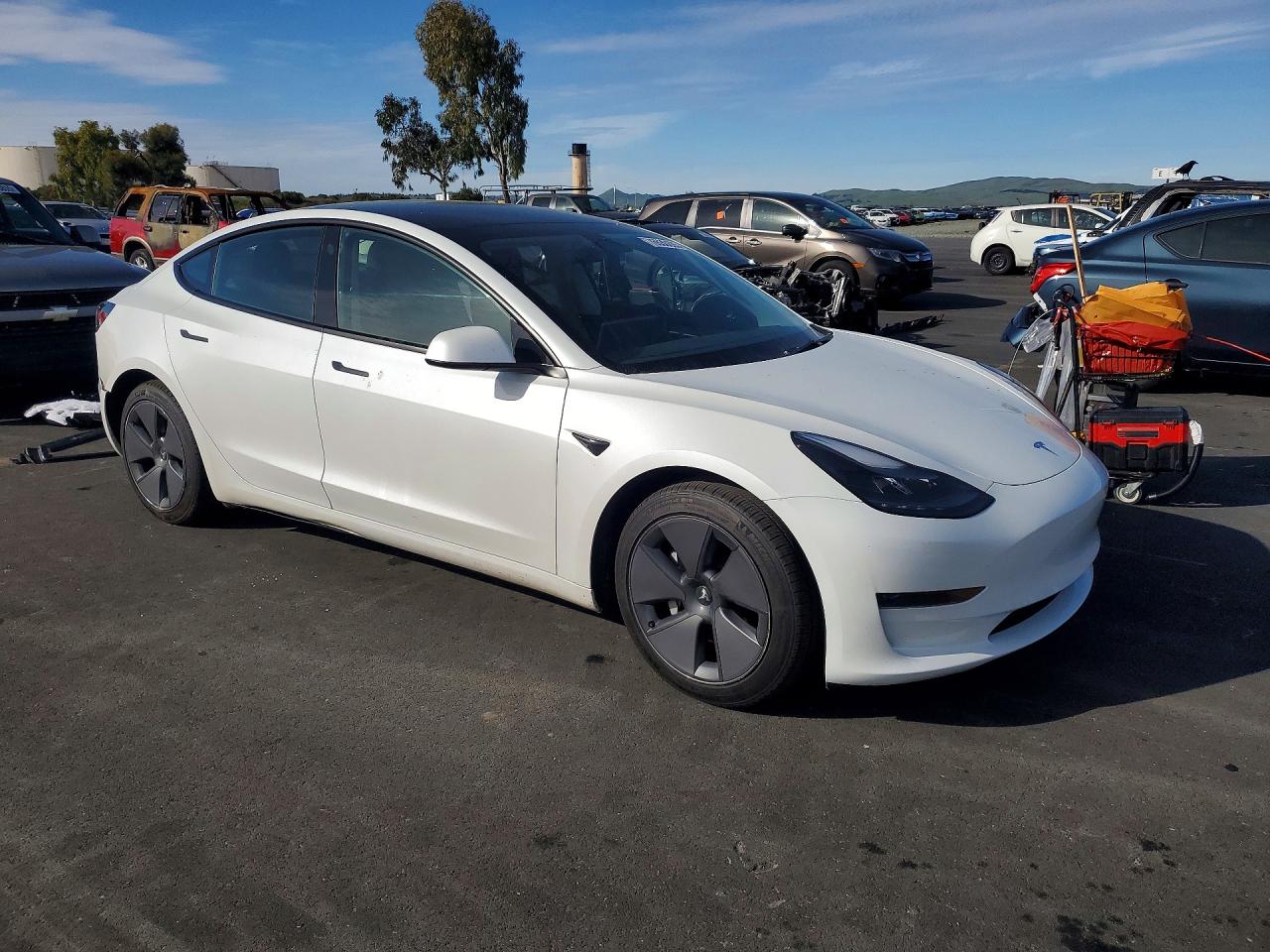 2023 TESLA MODEL 3 photo 10