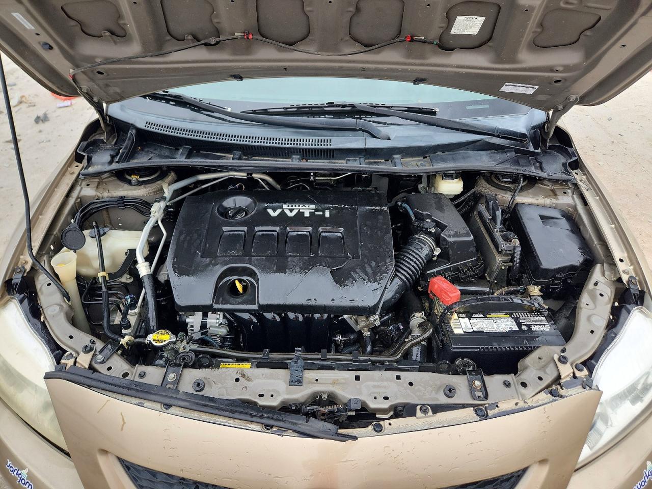 2009 TOYOTA COROLLA LE photo 11
