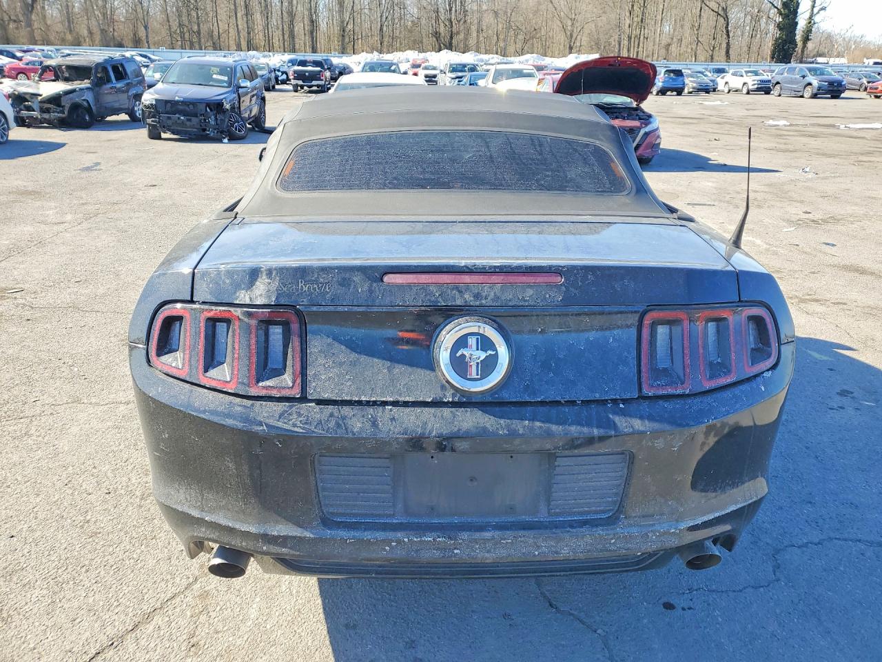 2014 FORD MUSTANG photo 6