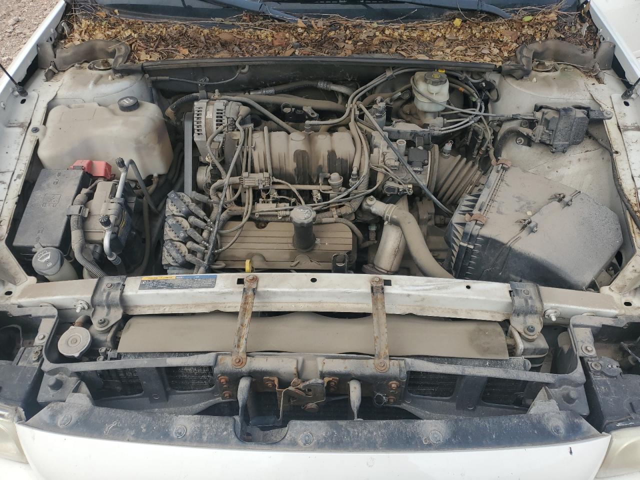 2005 BUICK LESABRE CUSTOM photo 11