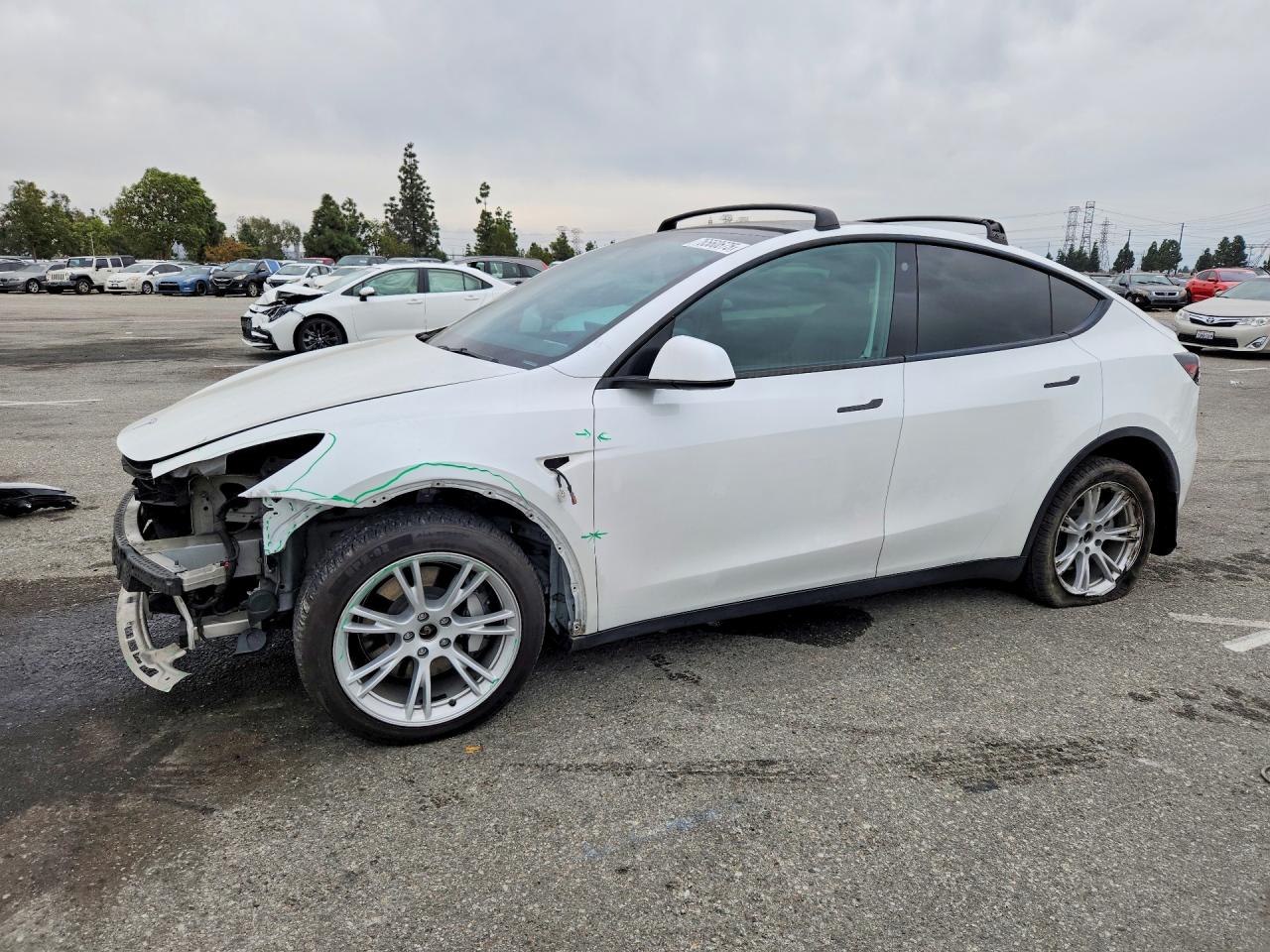 2021 TESLA MODEL Y