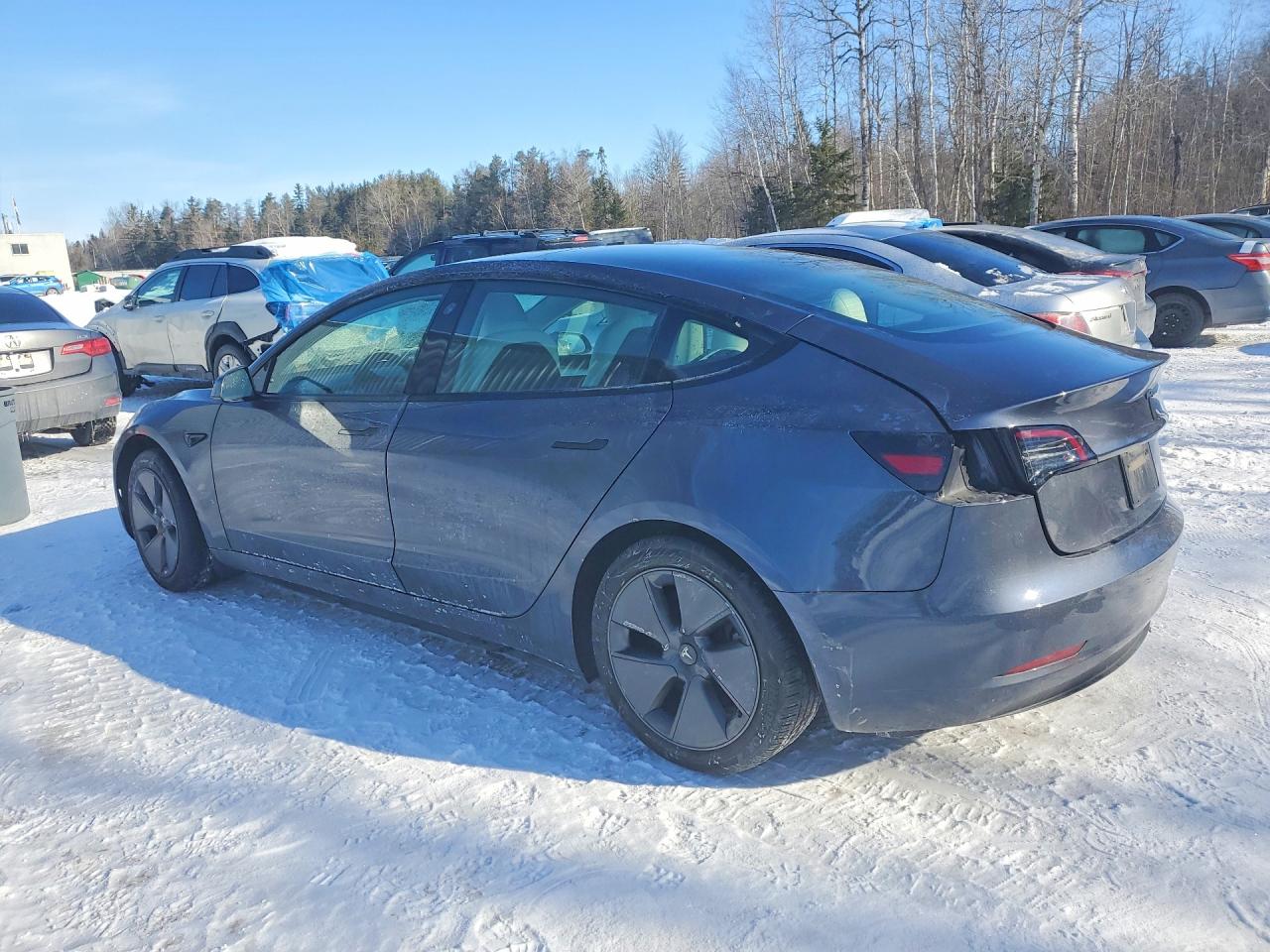 2023 TESLA MODEL 3 photo 3