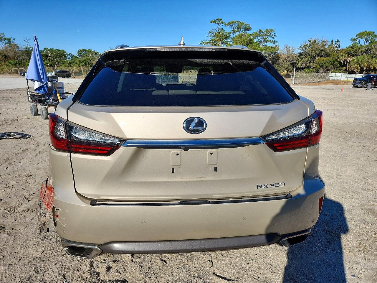 2016 LEXUS RX 350 photo 6