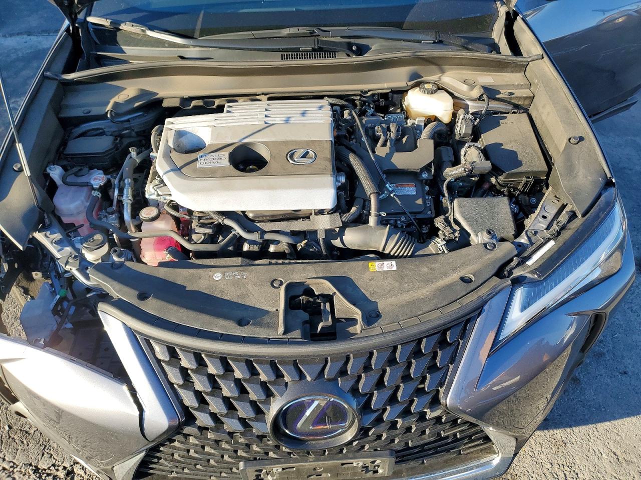 2021 LEXUS UX 250H photo 11