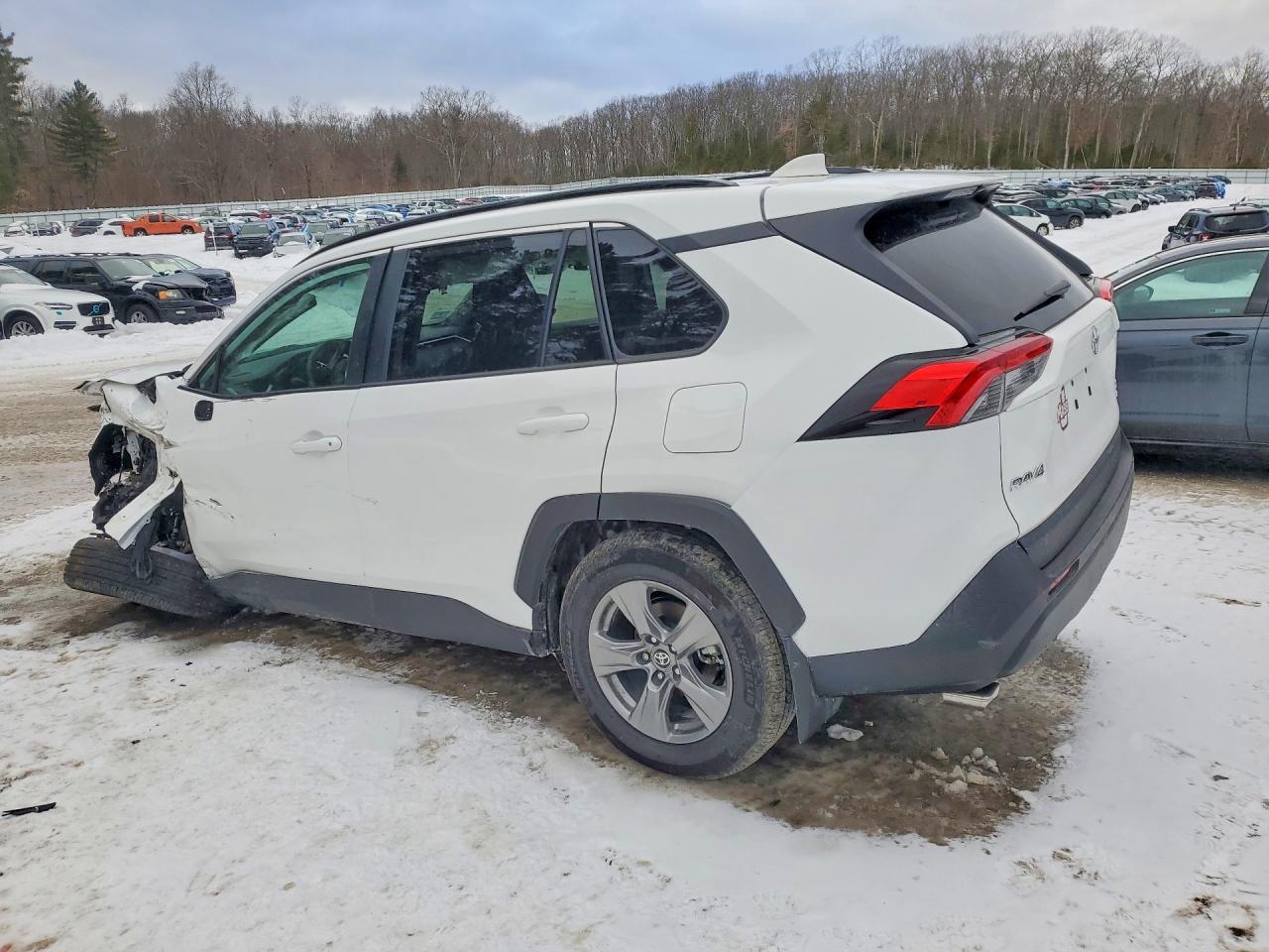 2025 TOYOTA RAV4 XLE photo 4