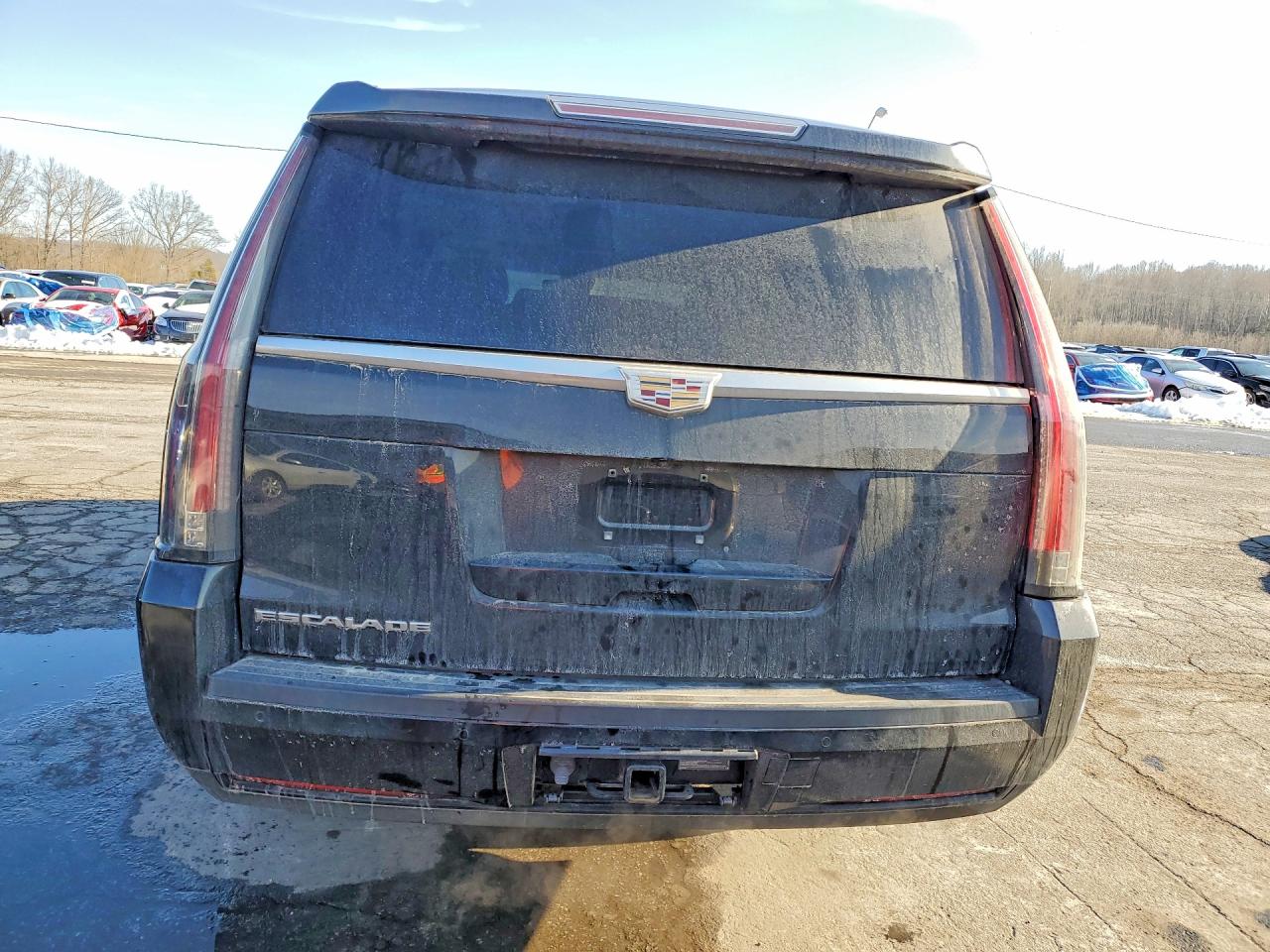 2015 CADILLAC ESCALADE ESV LUXURY photo 6