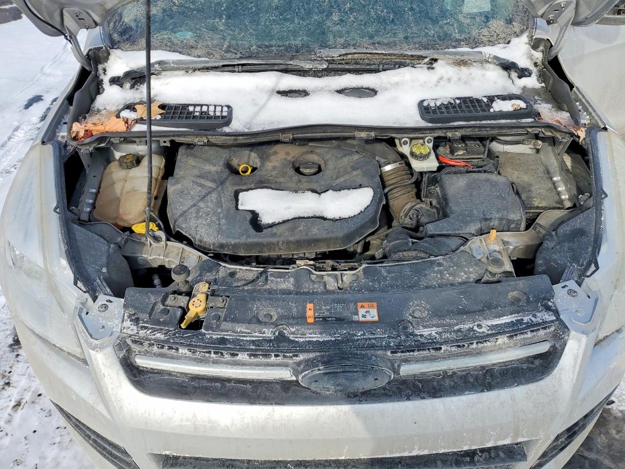 2015 FORD ESCAPE SE photo 12