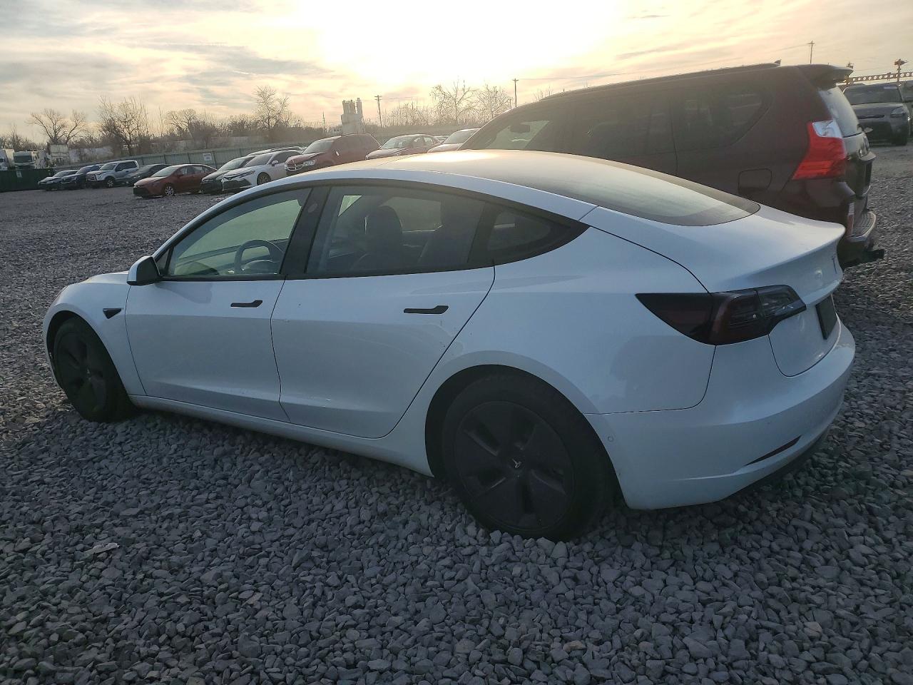 2021 TESLA MODEL 3 photo 2