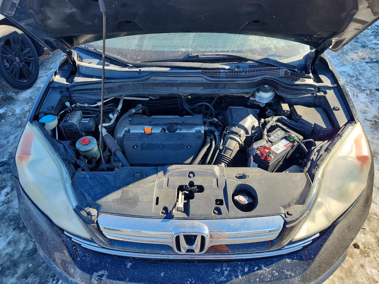 2009 HONDA CR-V EXL photo 12
