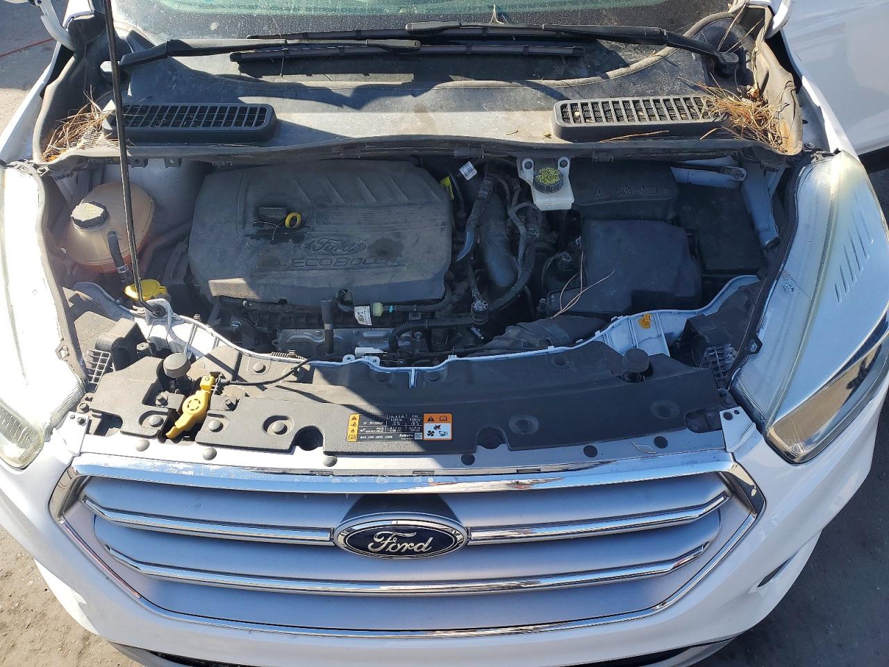 2017 FORD ESCAPE SE photo 23
