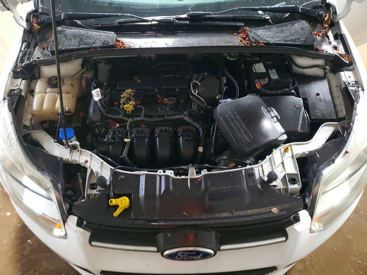 2014 FORD FOCUS SE photo 31