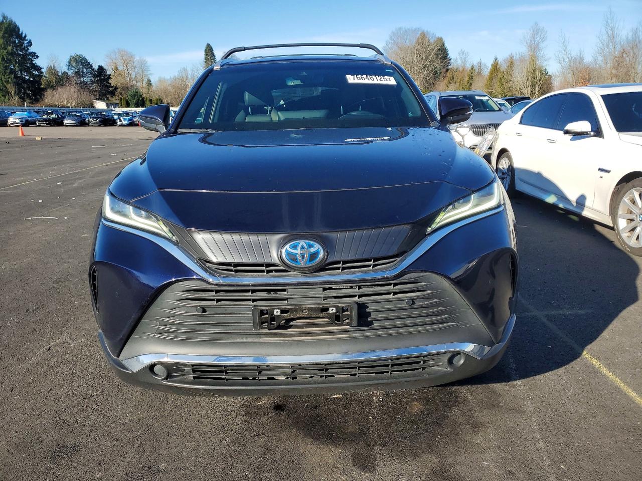 2022 TOYOTA VENZA LE photo 13