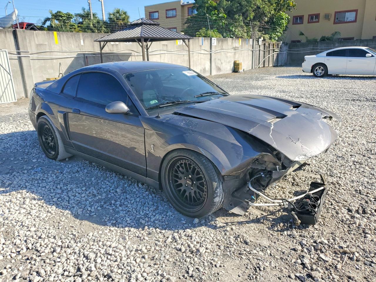 2003 FORD MUSTANG COBRA SVT photo 10