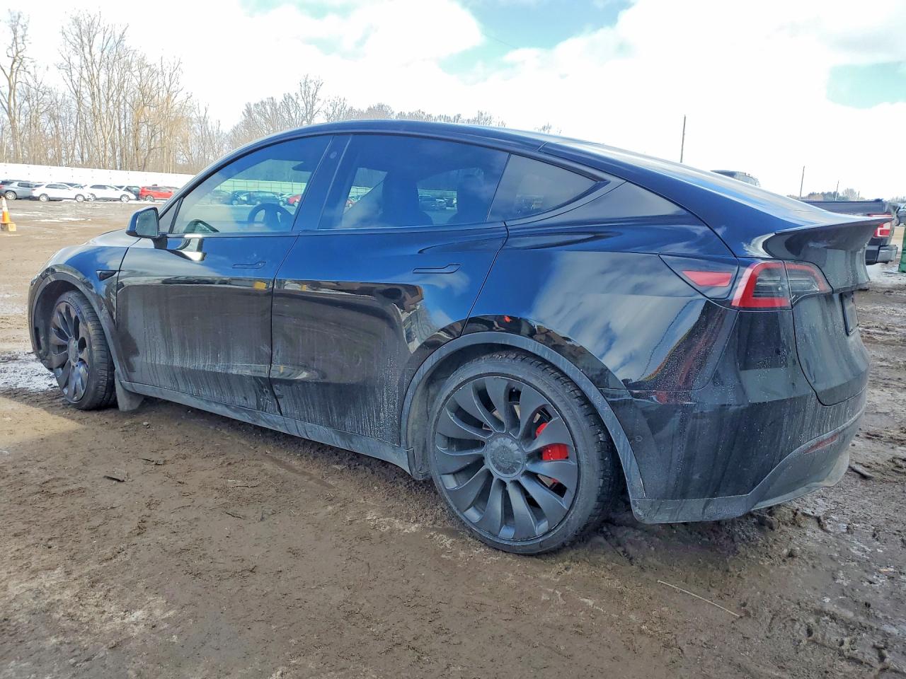 2021 TESLA MODEL Y photo 2