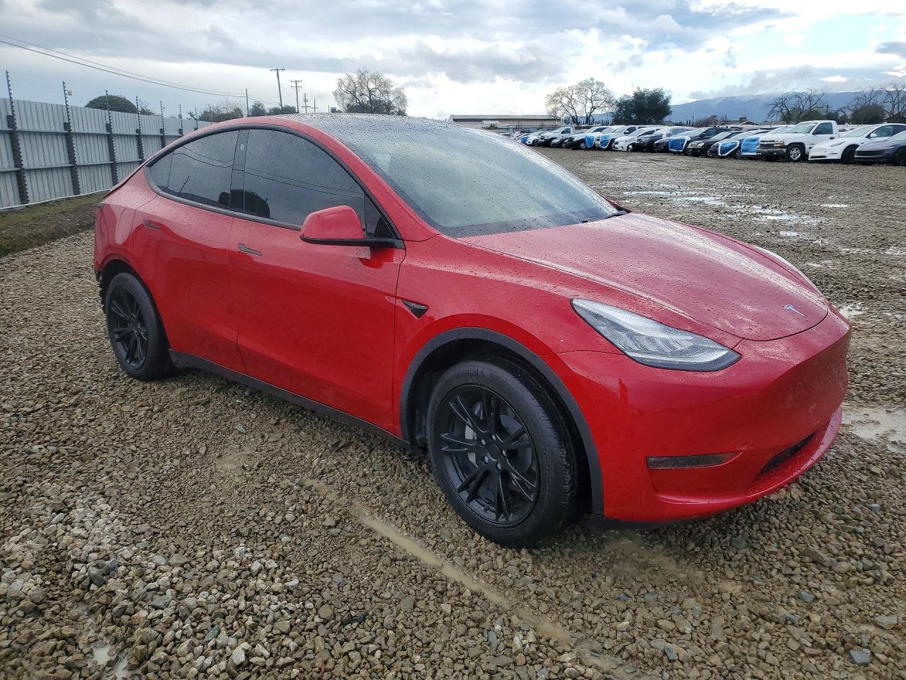 2021 TESLA MODEL Y photo 4