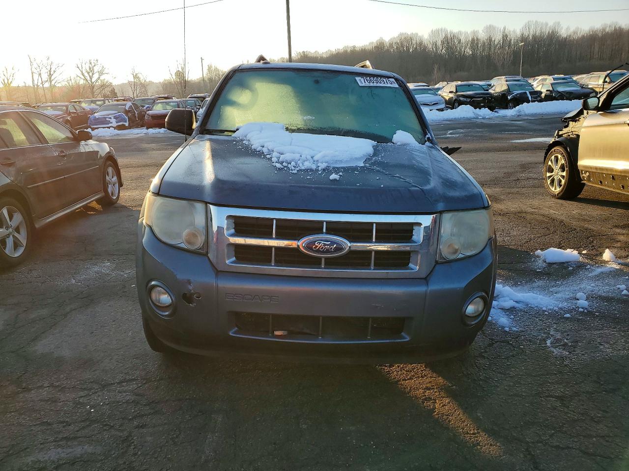 2010 FORD ESCAPE XLT photo 9