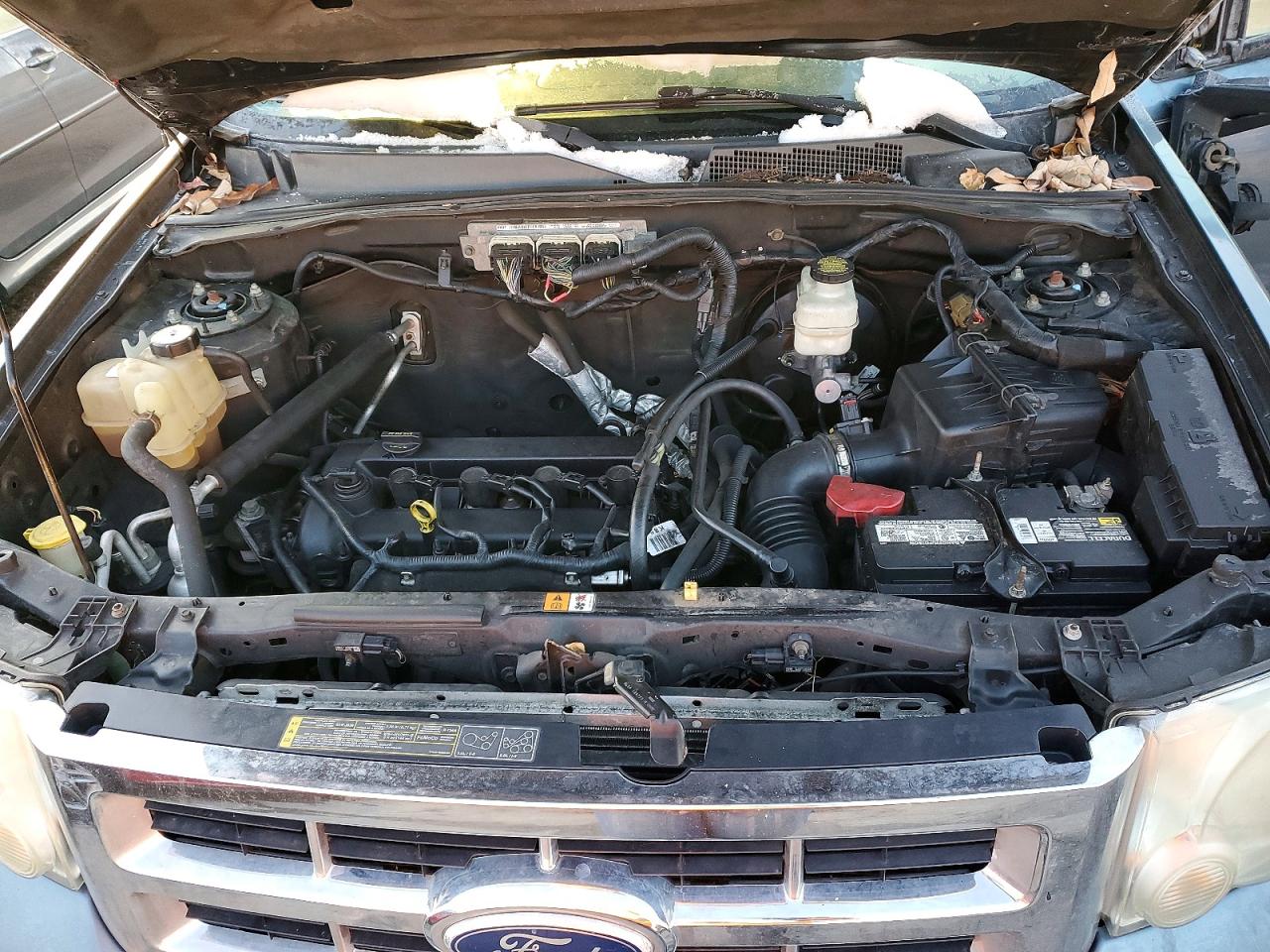 2010 FORD ESCAPE XLT photo 23
