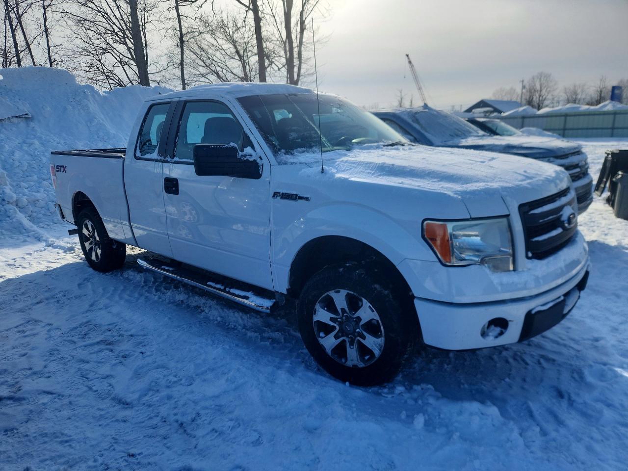 2014 FORD F150 photo 10