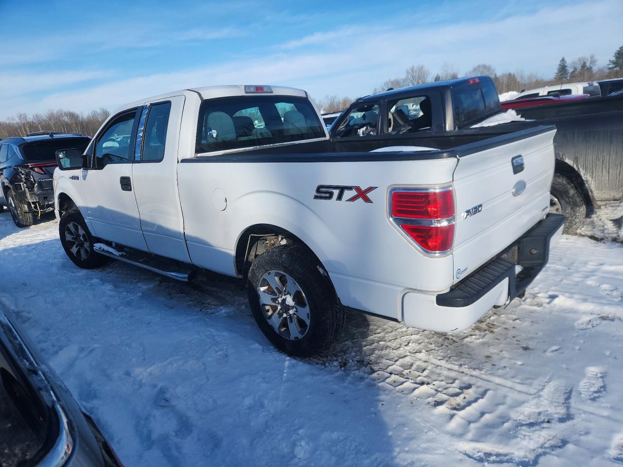 2014 FORD F150 photo 4
