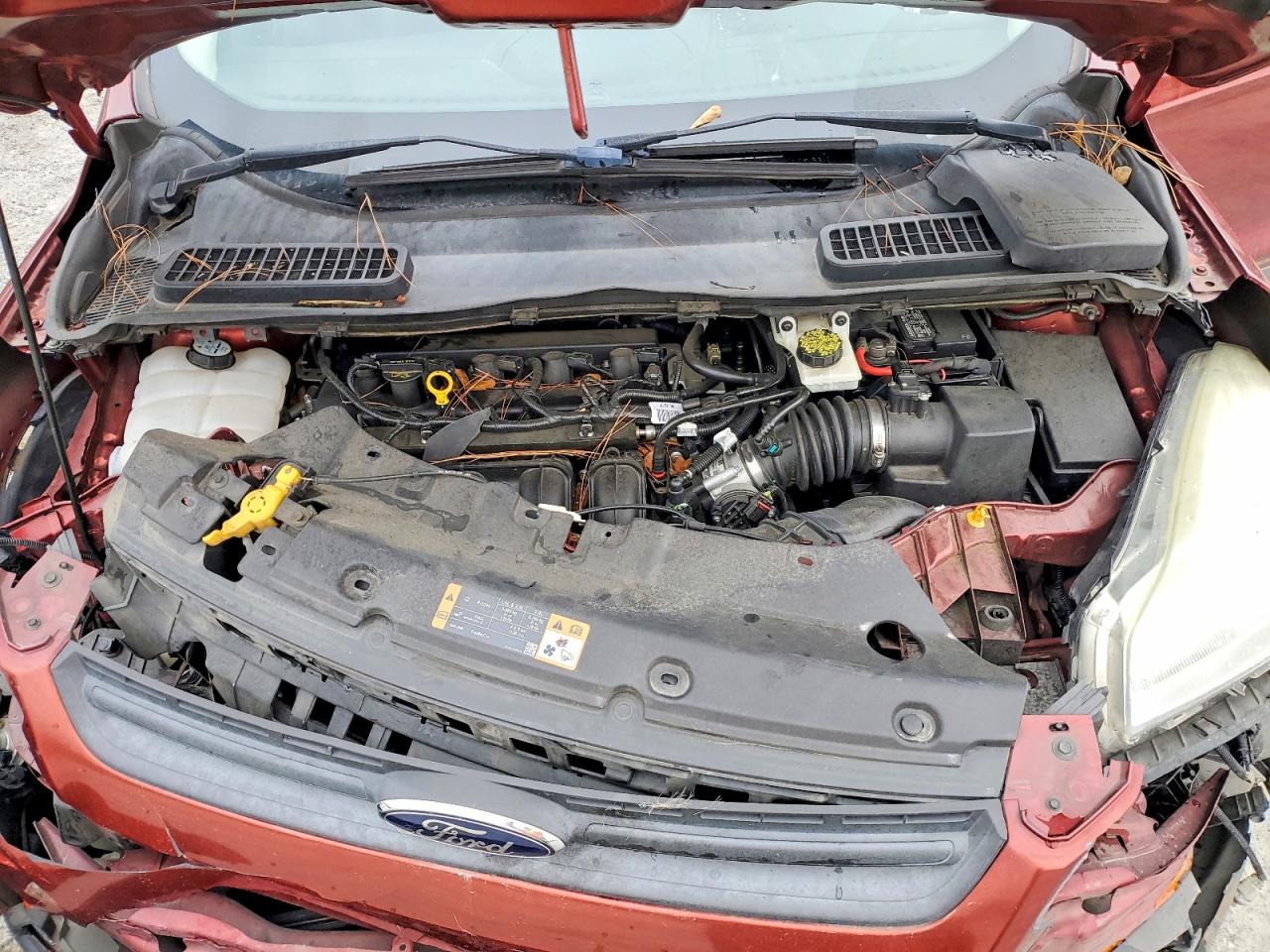 2014 FORD ESCAPE S photo 12