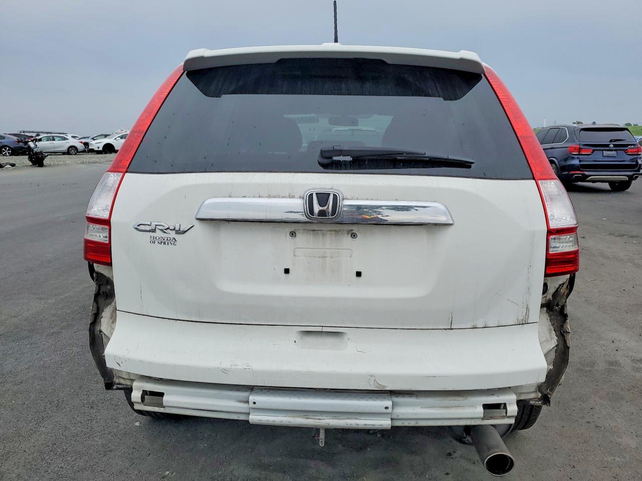 2010 HONDA CR-V EXL photo 6