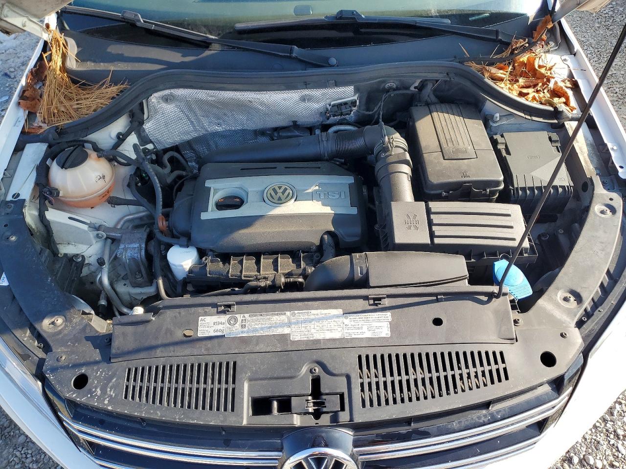 2013 VOLKSWAGEN TIGUAN S photo 12
