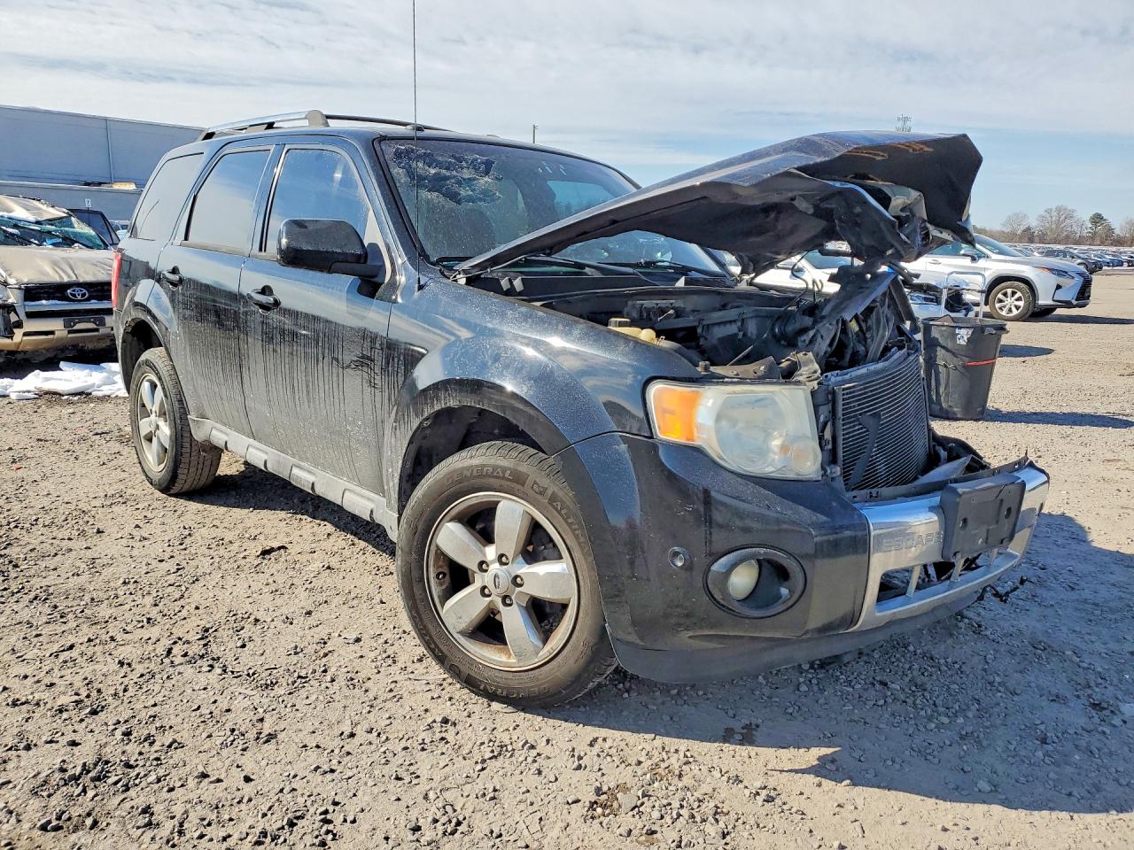 2010 FORD ESCAPE LIMITED photo 7