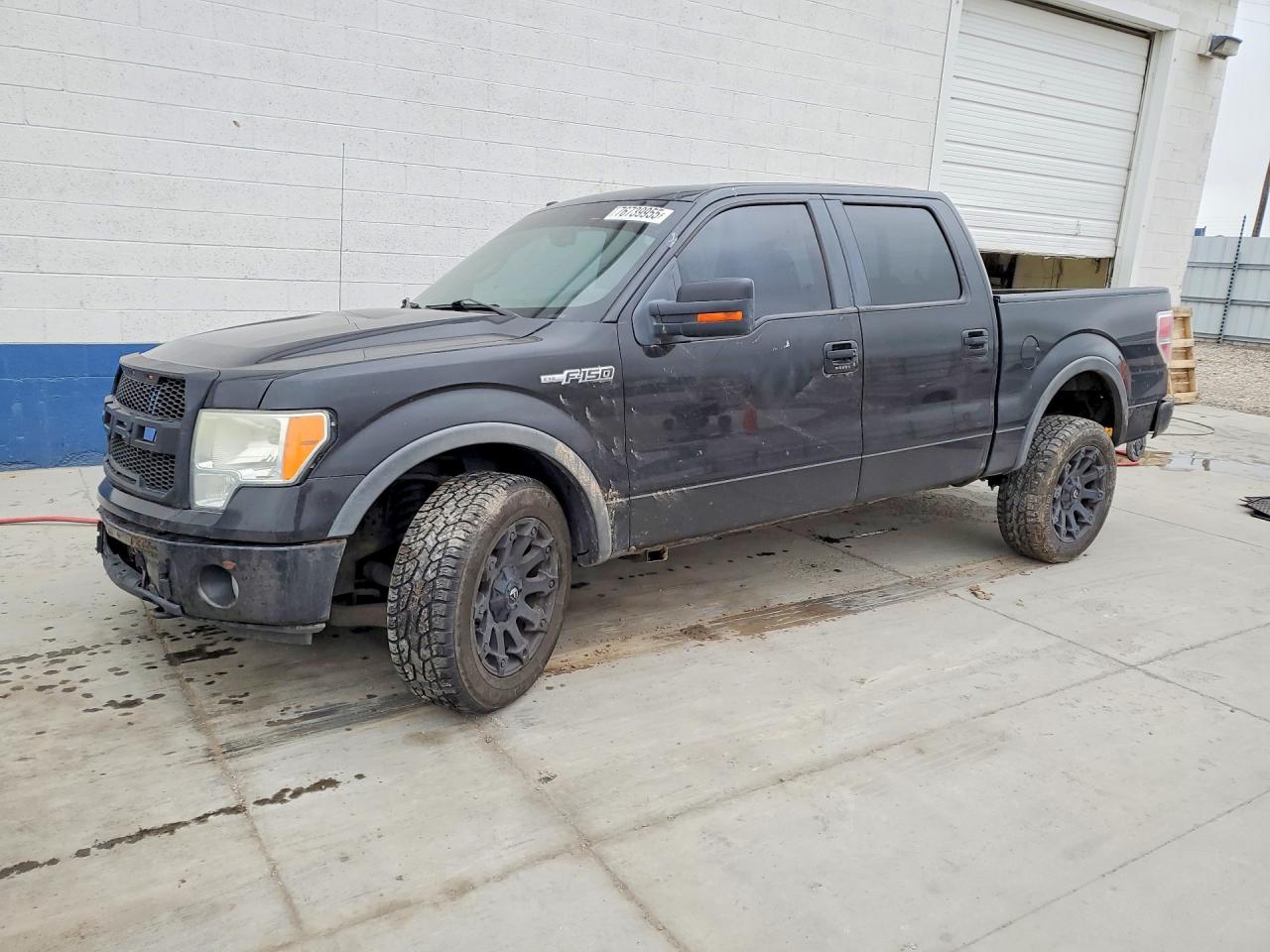 2010 FORD F150