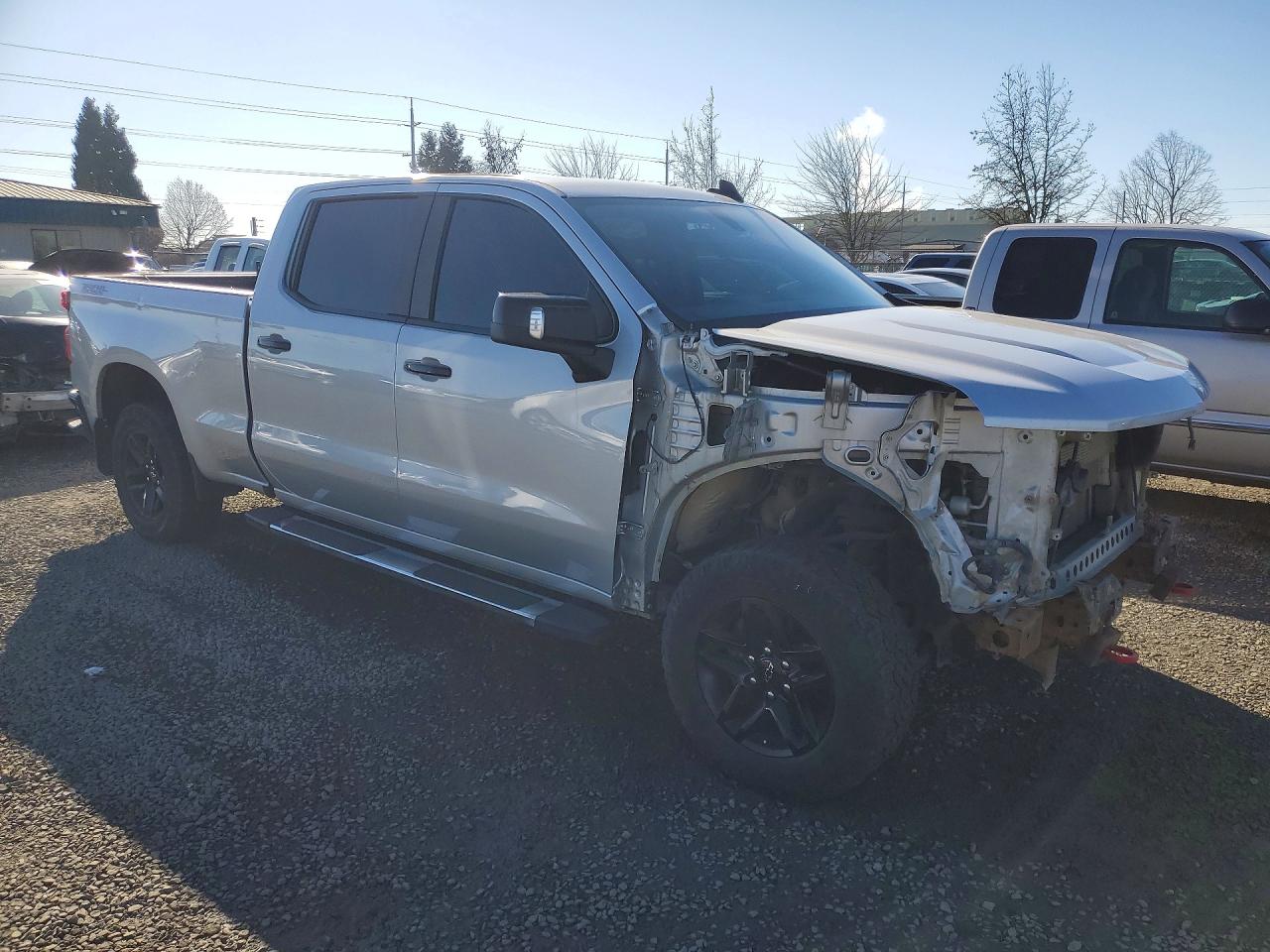 2020 CHEVROLET SILVERADO K1500 LT TRAIL BOSS photo 4