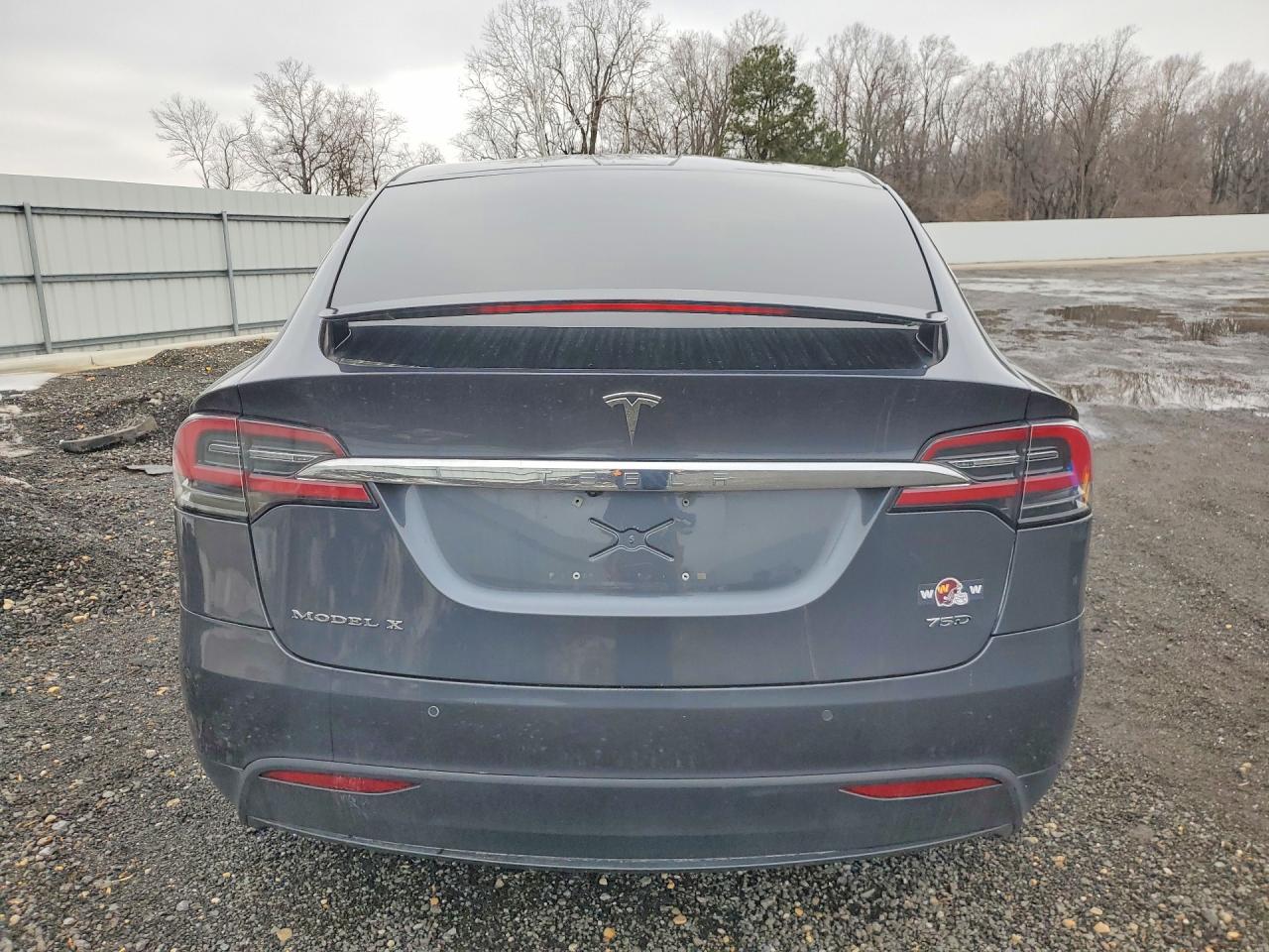 2018 TESLA MODEL X photo 6