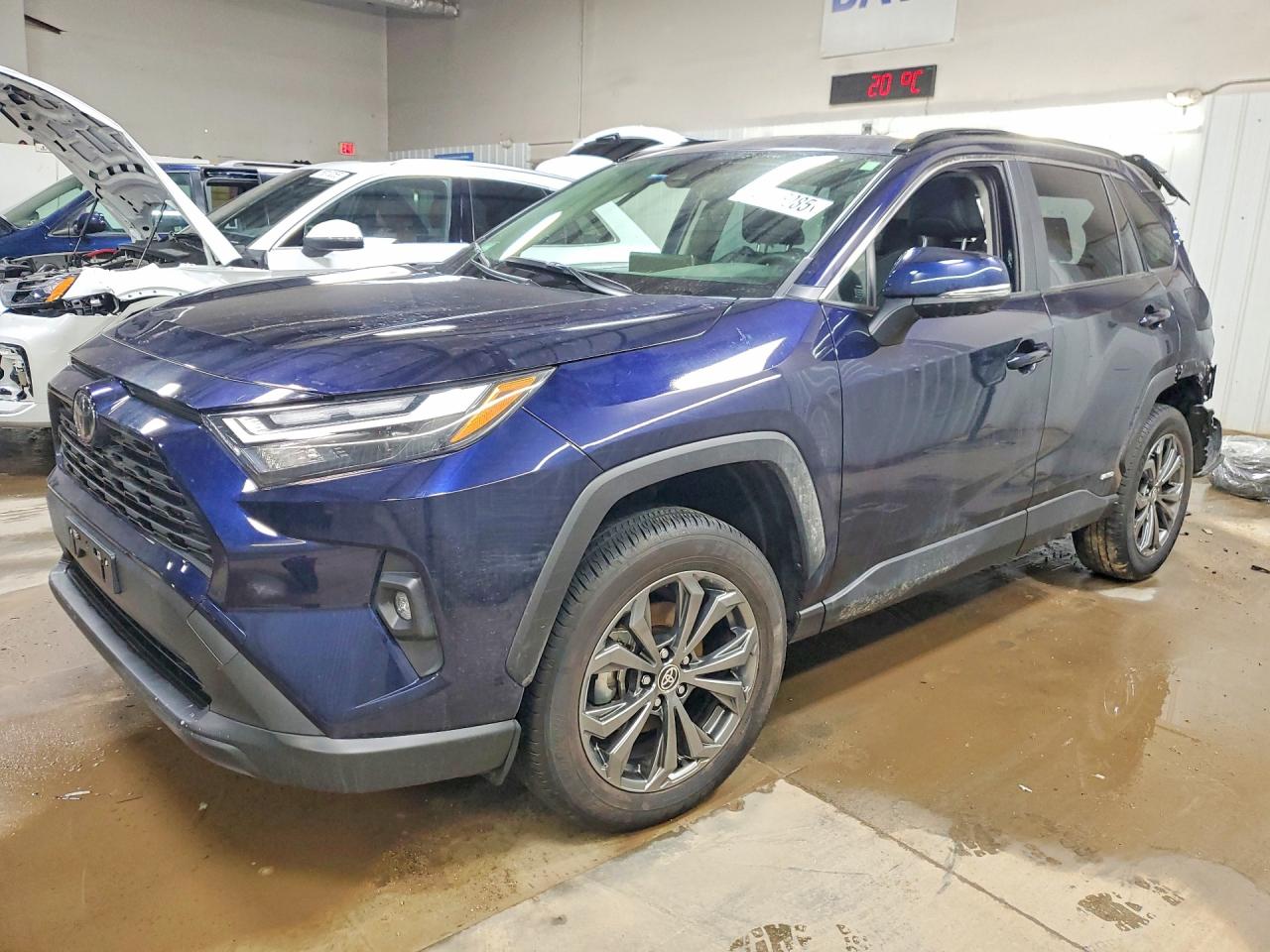 2025 TOYOTA RAV4