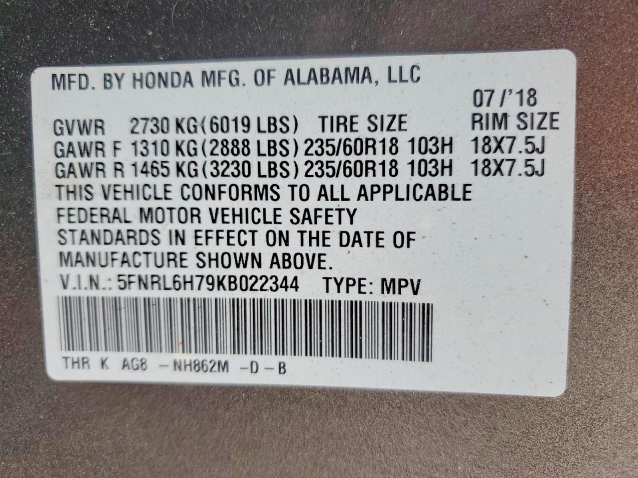 2019 HONDA ODYSSEY EXL photo 13