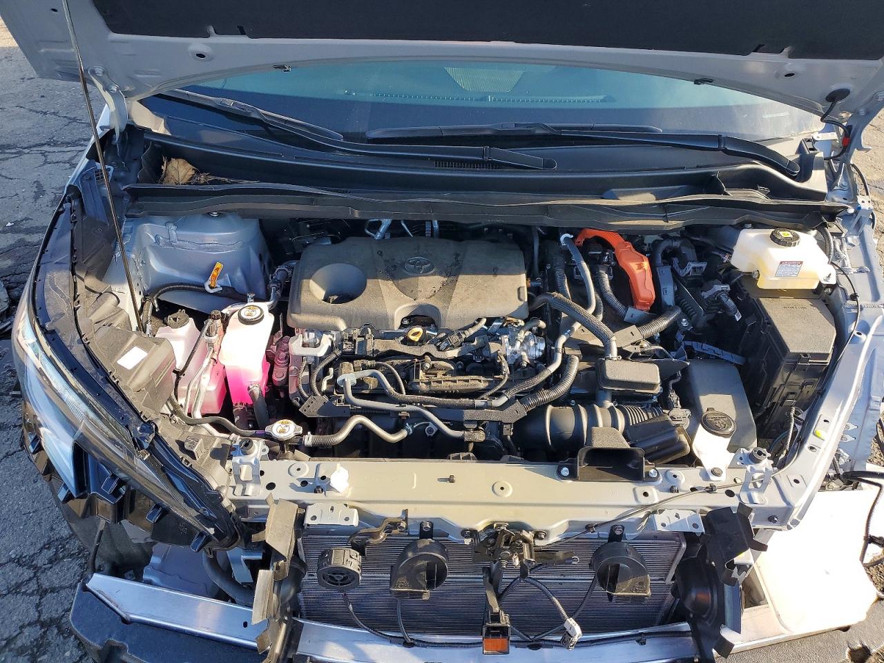 2025 TOYOTA SIENNA WOODLAND EDITION photo 21