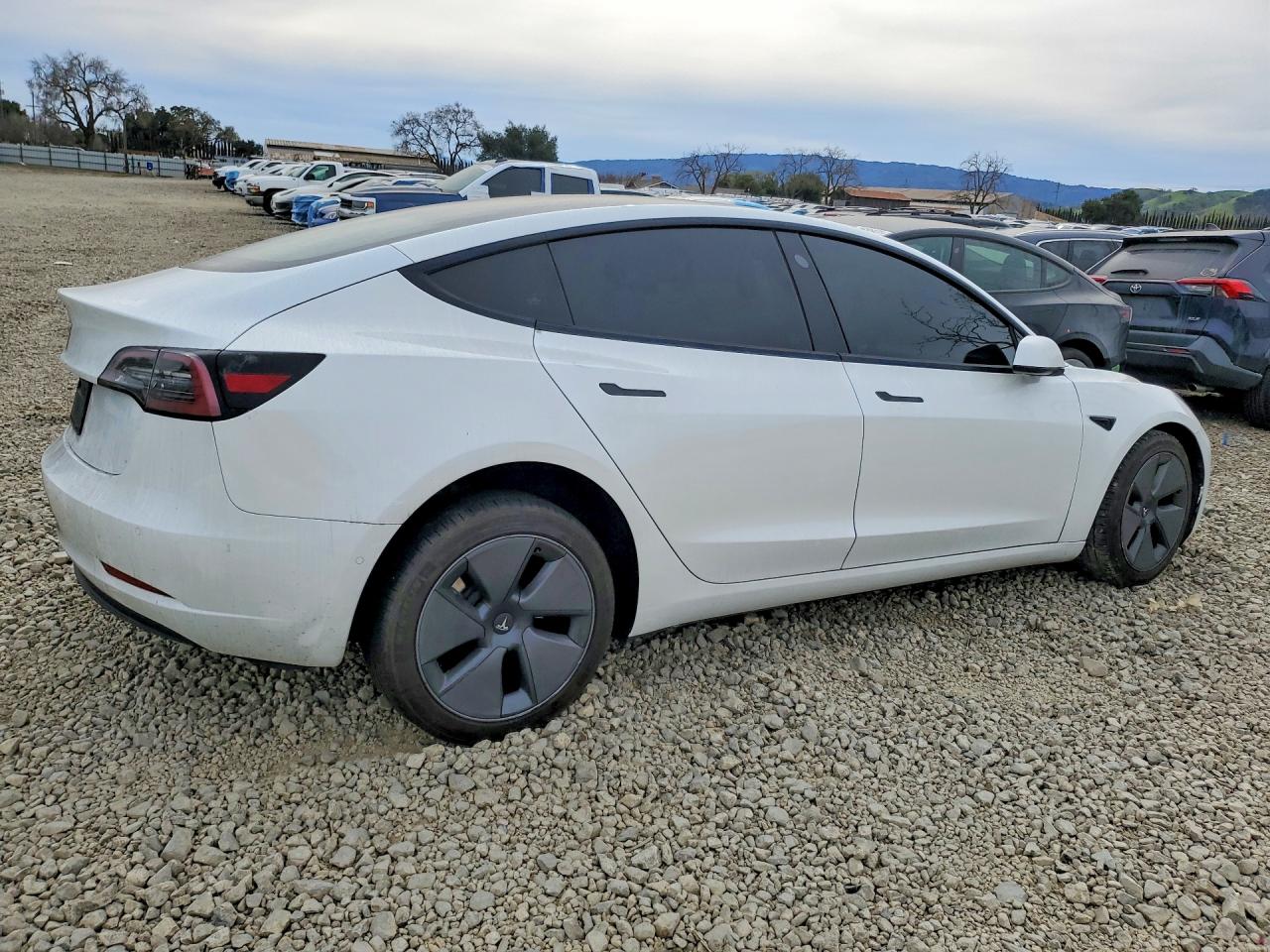 2021 TESLA MODEL 3 photo 5